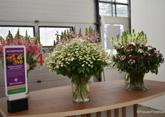 De snijbloemen van Bloomstudios kregen ook een podium